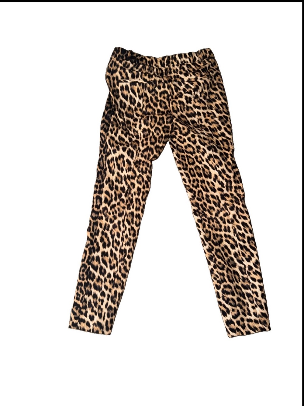Zara Leopard Print Pants Sz M Straight Leg Boho Style